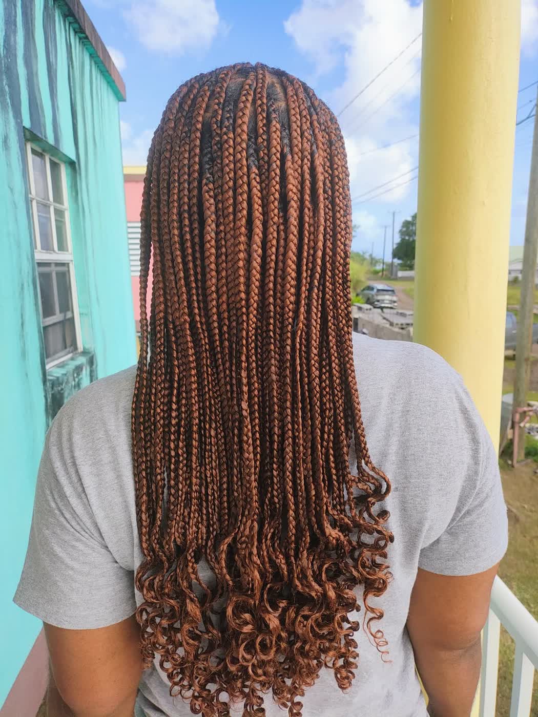 Fulani braid detailing by Anointed Fingers in St Kitts