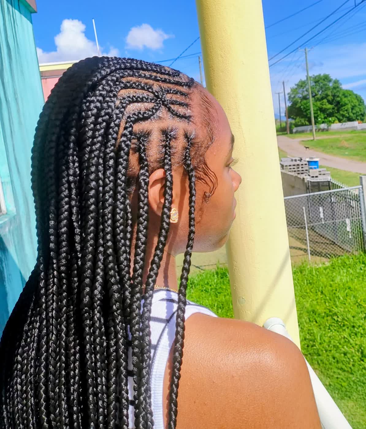 Fulani center-part braid style in Saint George, St Kitts